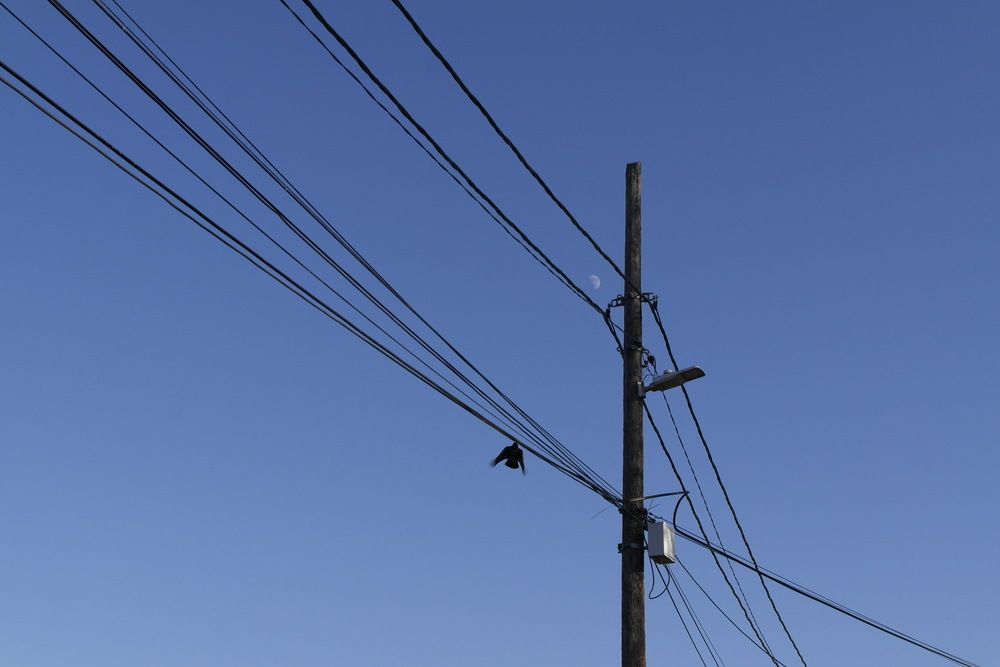 Photograph by Bojan Nikolovski