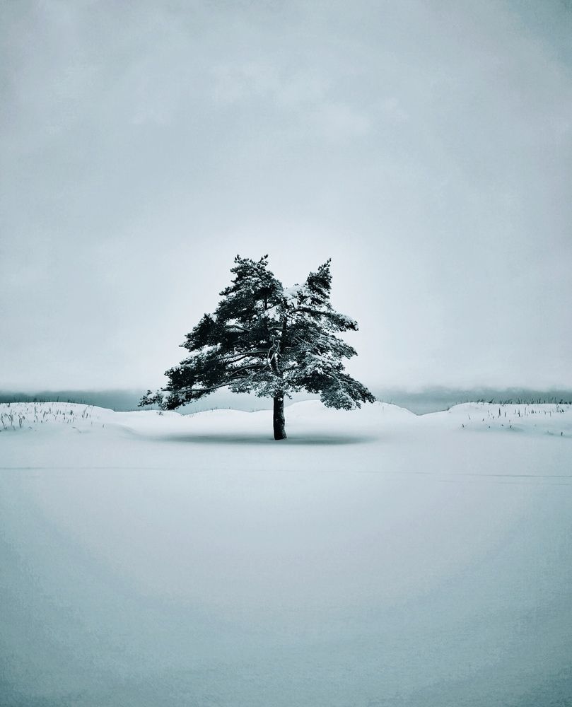 Фотография автора Ekaterina Sapezhinskaya