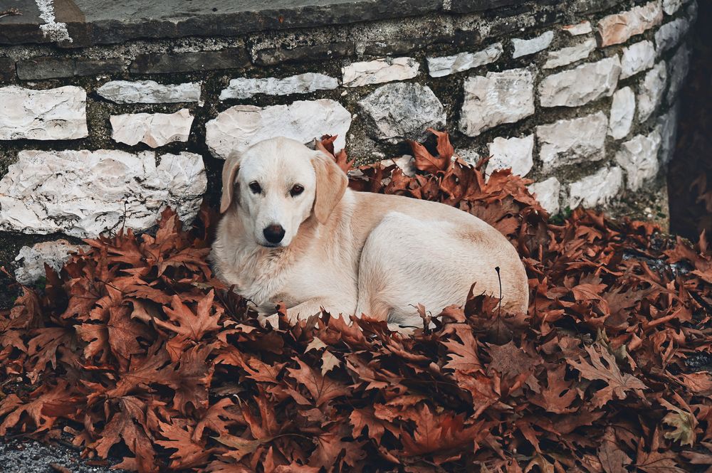 Photograph by Eftychia Vlachonatsou