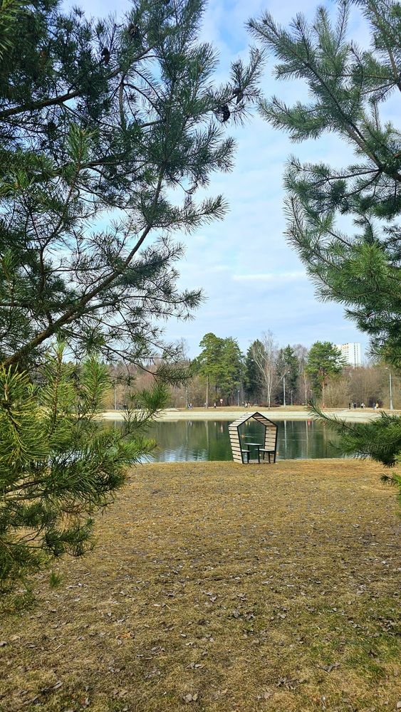 Москва, Зеленоград. Парк Школьное озеро