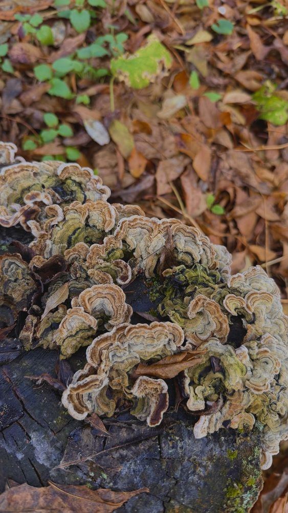 Photograph by Ирина Молибог