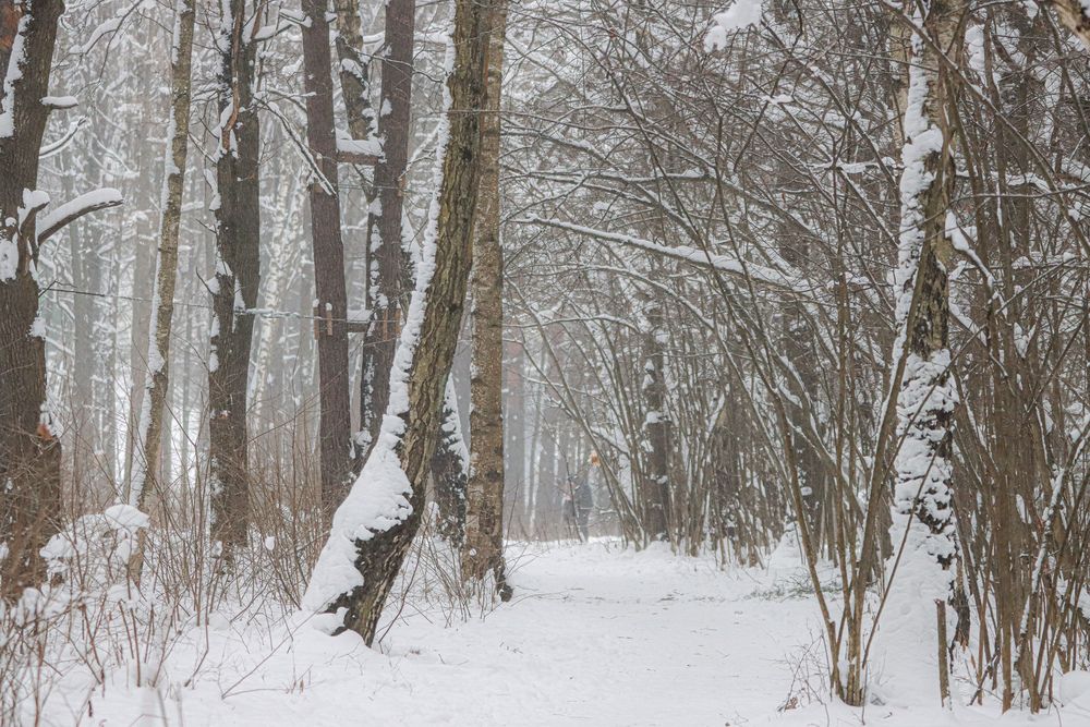 Photograph by Аня Проскурякова
