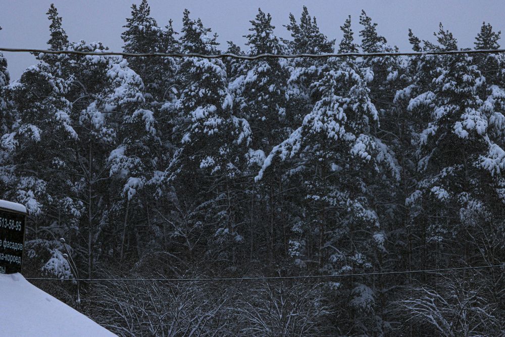 Photograph by Аня Проскурякова