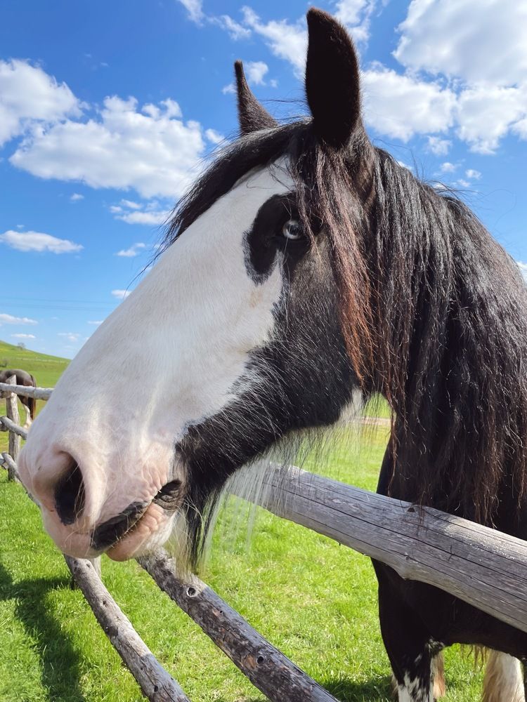 Photograph by Екатерина Кузнецова