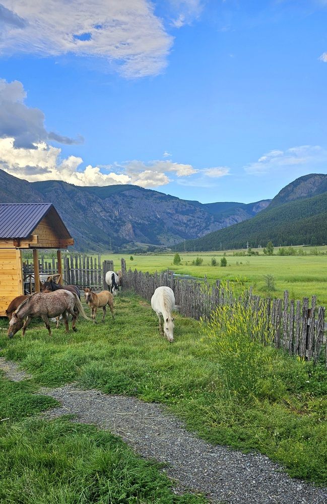 Акташ. Горный Алтай