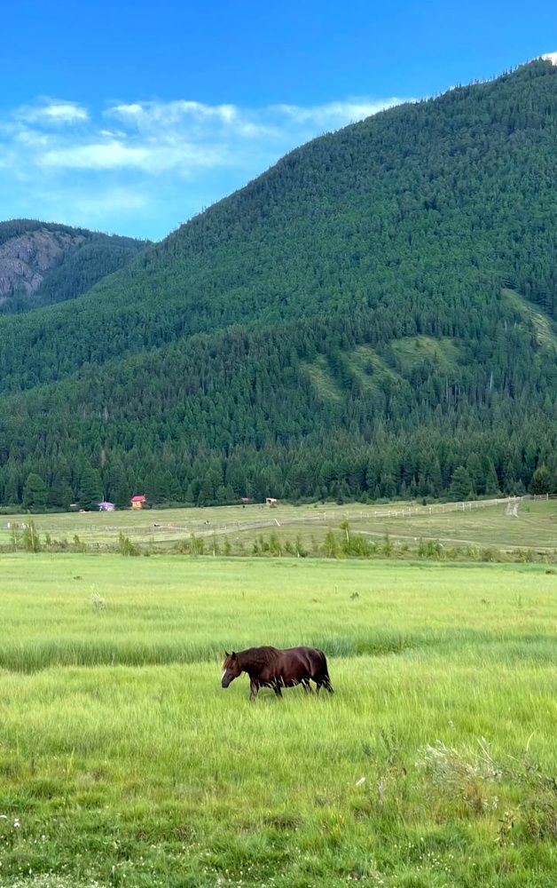 Акташ. Горный Алтай