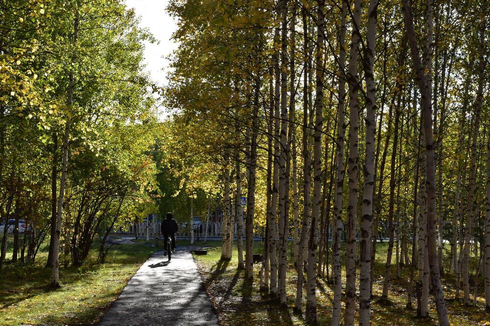 Фотография автора Светлана Чехлань