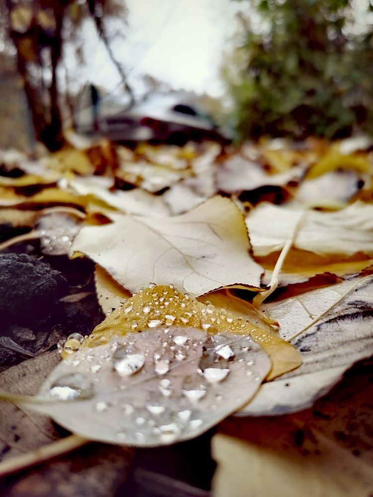 Photograph by Алексей Титков