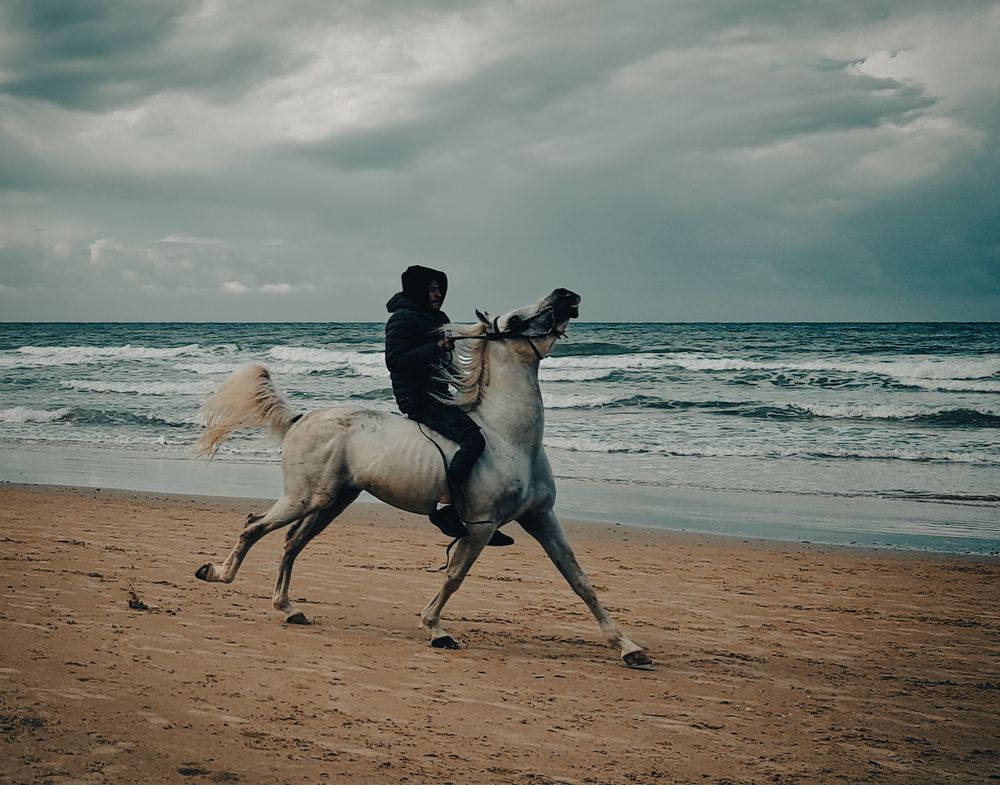 Photograph by Светлана Ханина