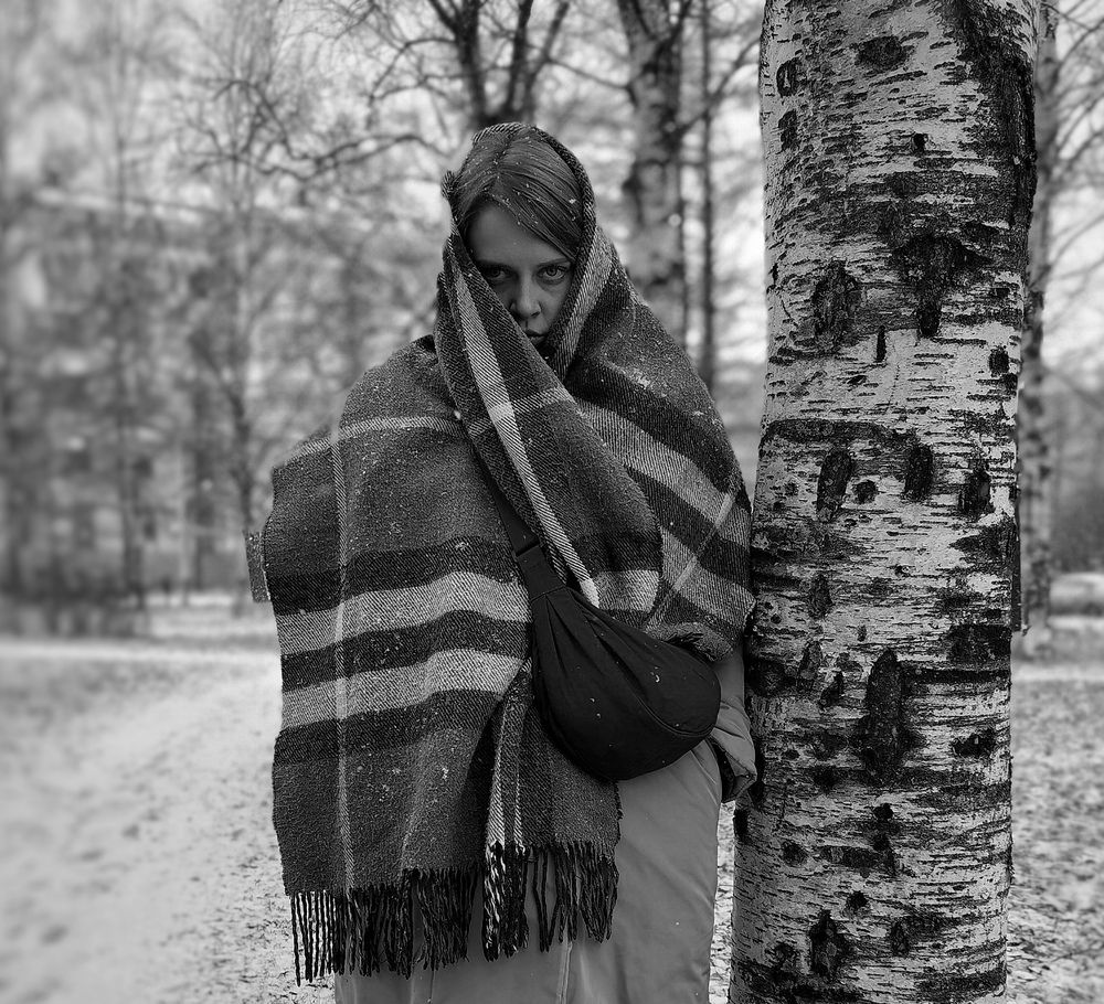 Photo #13060946