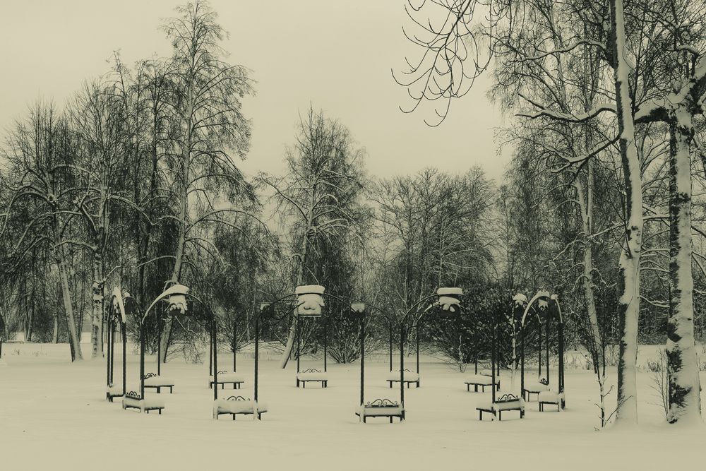 Фотография автора Борис Романов