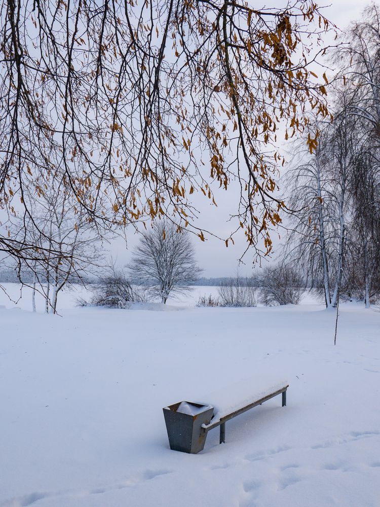 Фотография автора Борис Романов