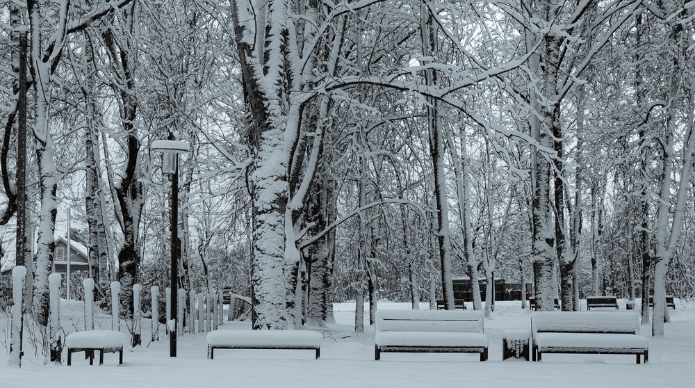 Фотография автора Борис Романов