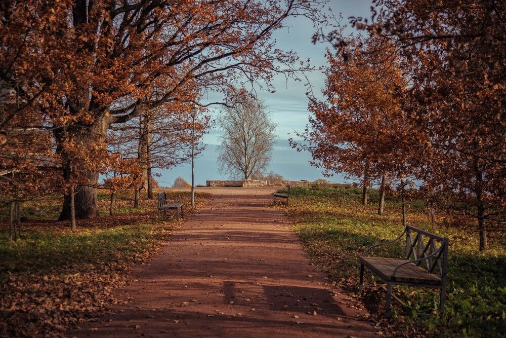 Photograph by Ольга Кривенцова