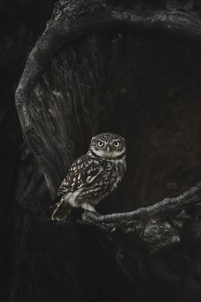 Photograph by Elke Braet