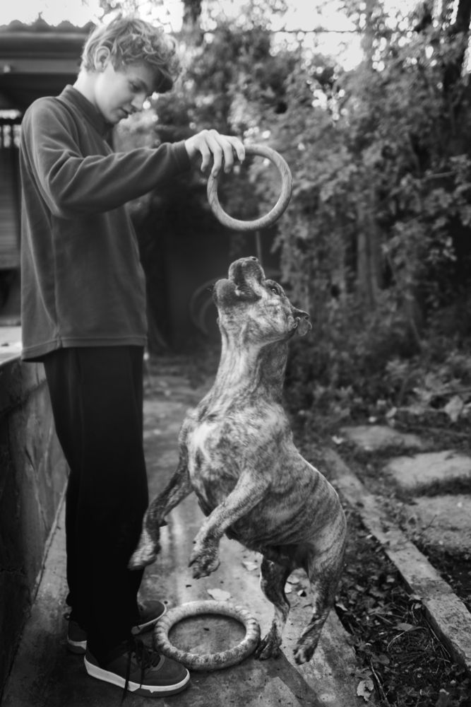 Photograph by Ирина Сафонова