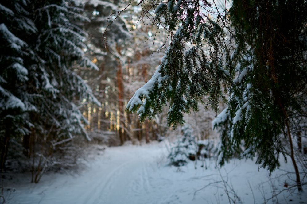 Фотография автора Антон Покровский