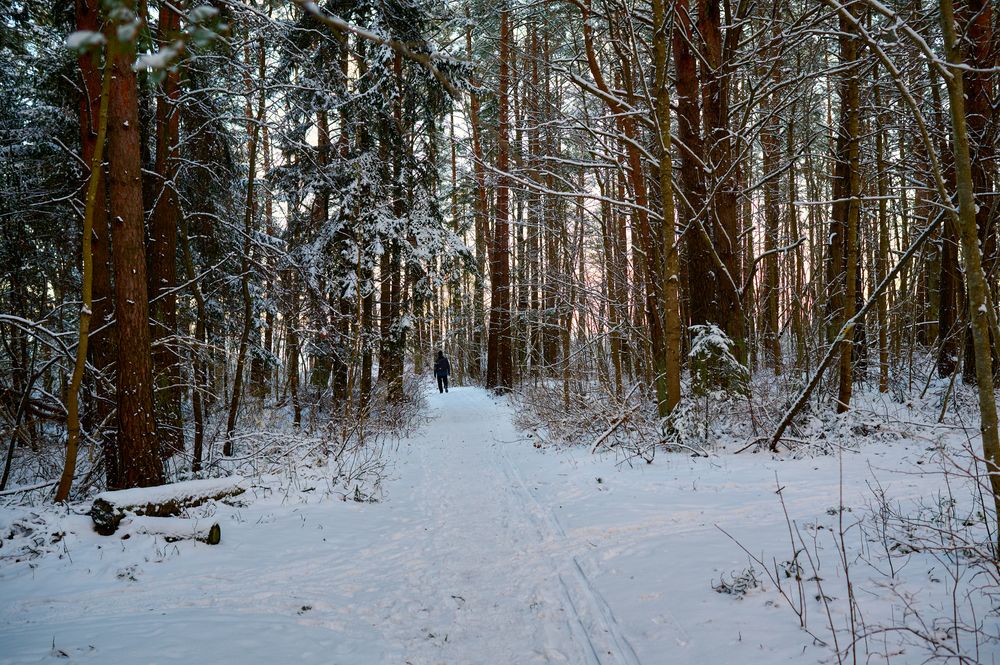 Фотография автора Антон Покровский