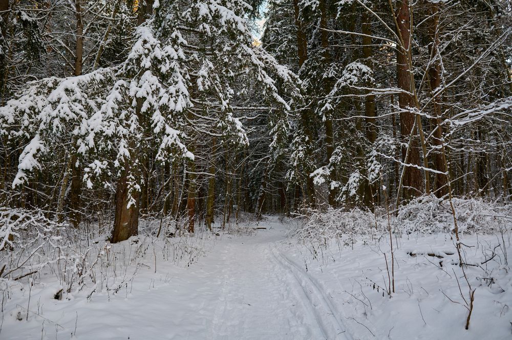 Фотография автора Антон Покровский