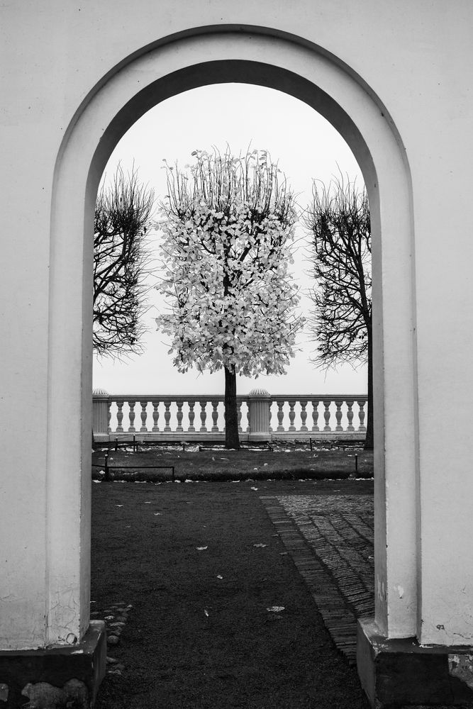 Photograph by Dimitri Bakhtadze