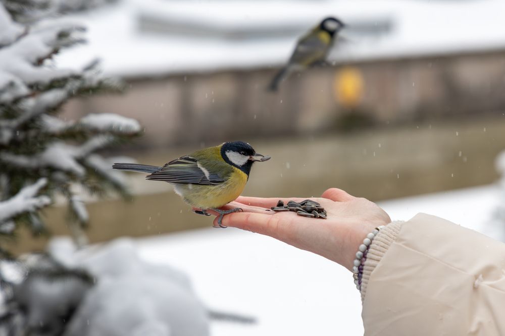 Photograph by Юлия Яковлева