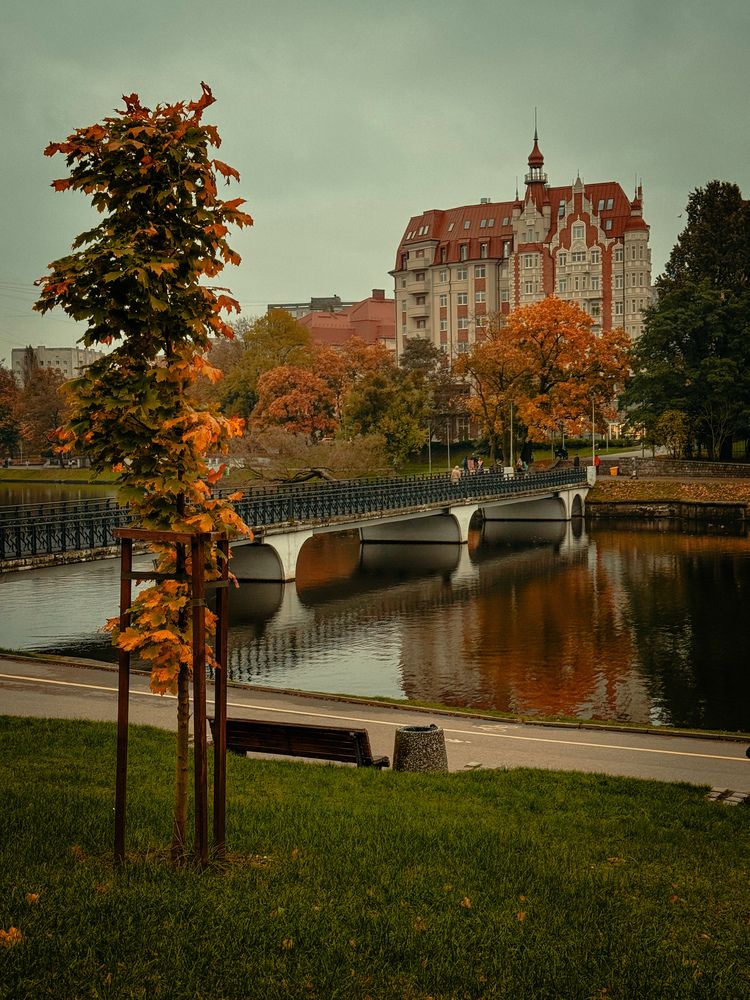 Photograph by Пыльцева Юлия