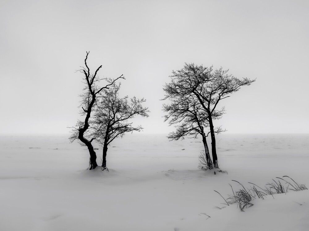 Photograph by Александр Порохов