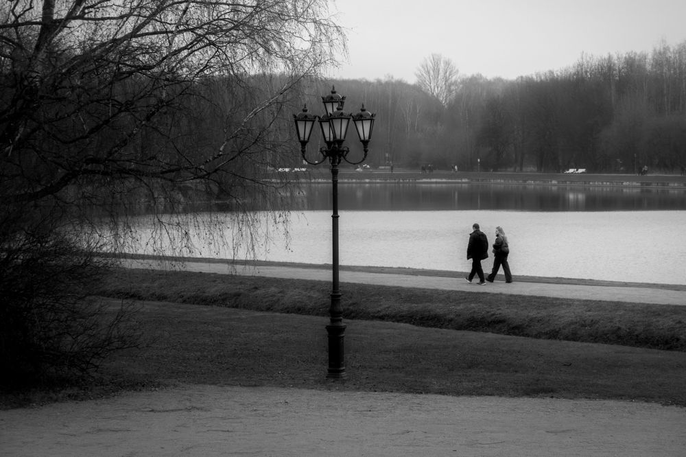 Photograph by Михаил Косолапов