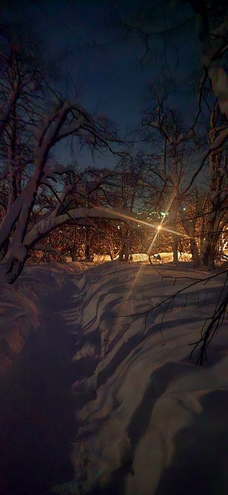 Photograph by Алена Чалышева