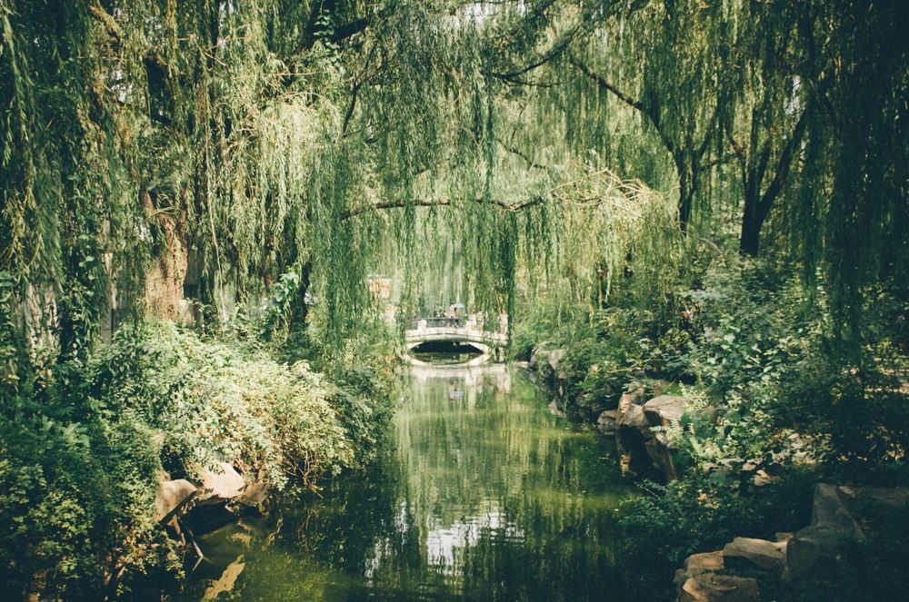 Фотография автора Daria Zemskova