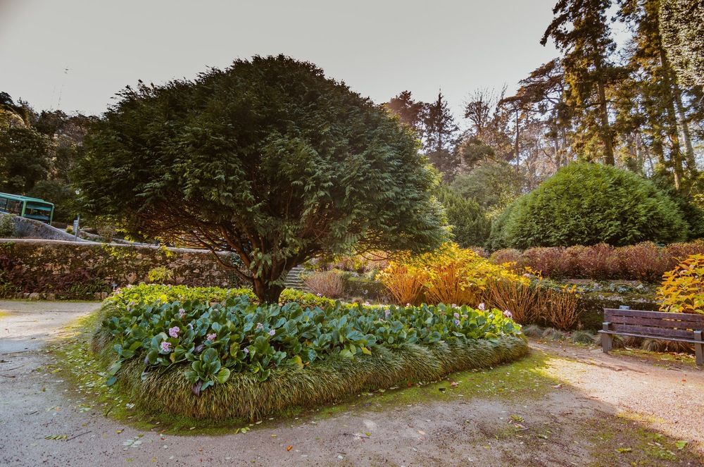 Фотография автора Daria Zemskova