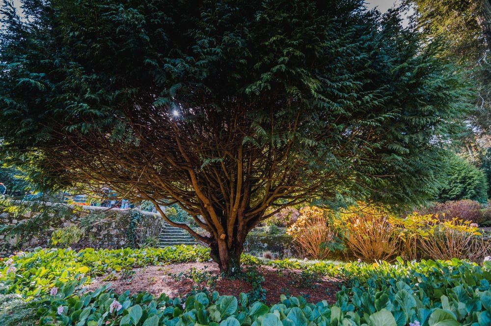 Фотография автора Daria Zemskova