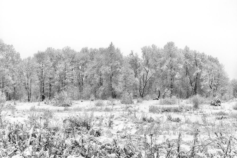 Photograph by Олег Соколов