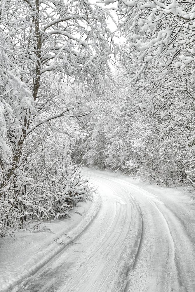 Photograph by Олег Соколов