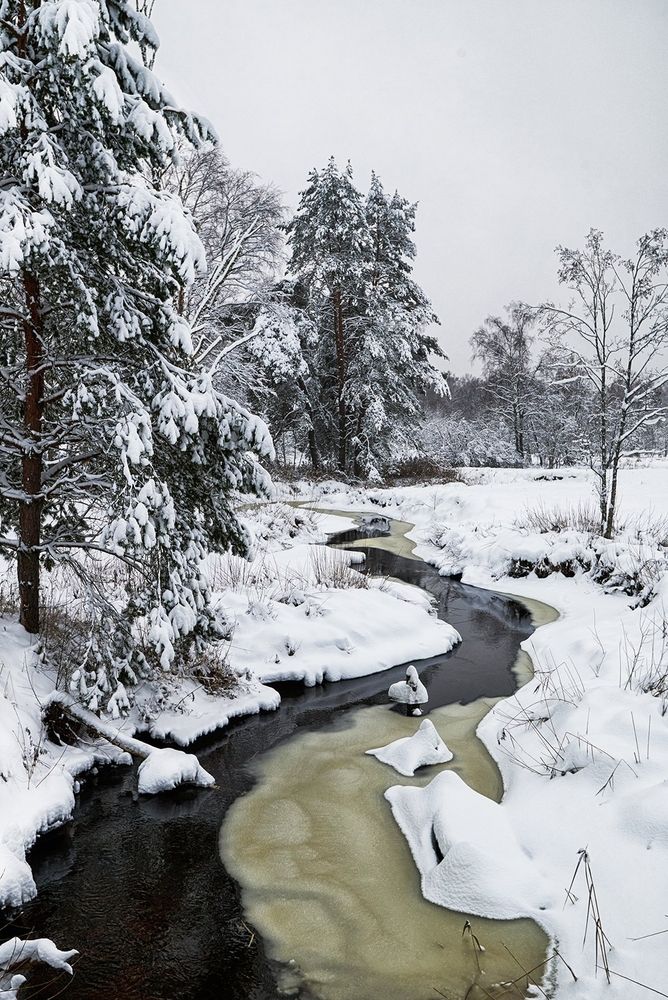 Photograph by Олег Соколов