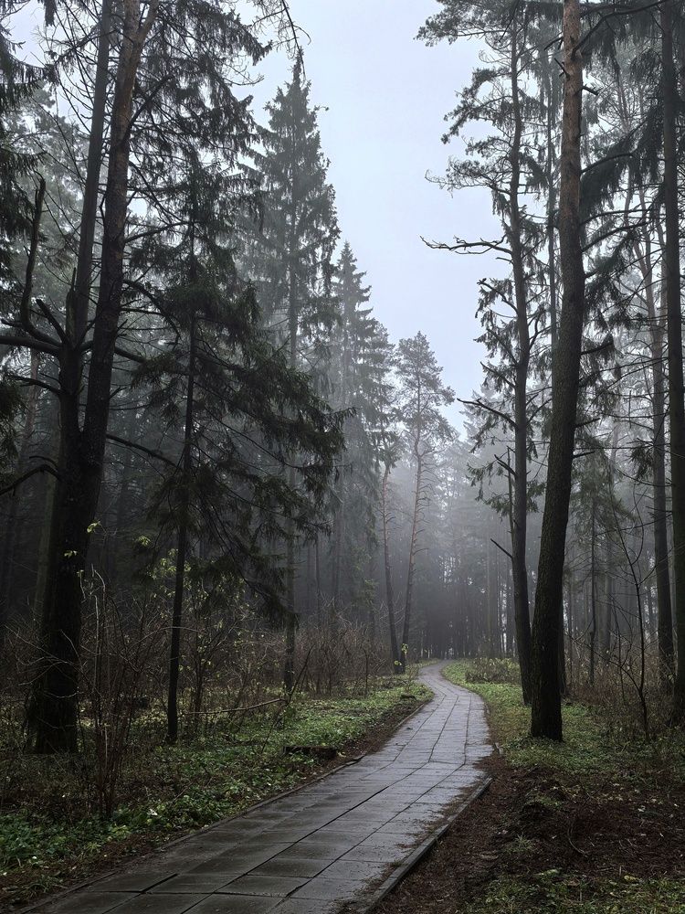 Photograph by Татьяна Сычёва