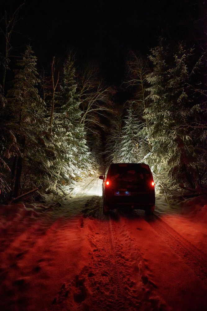 Photograph by Олег Соколов