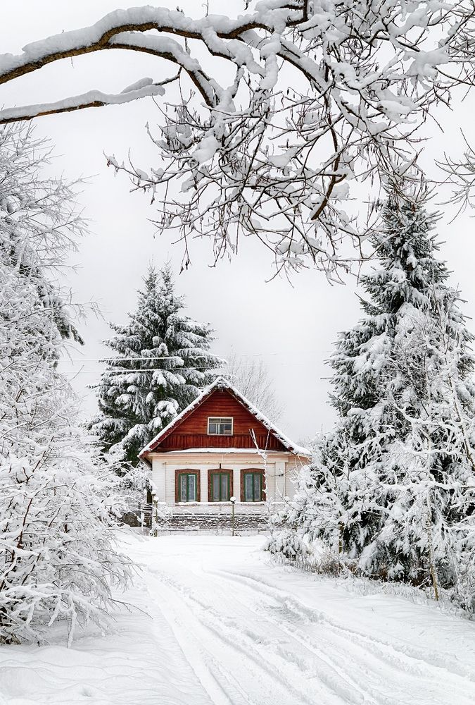 Photograph by Олег Соколов