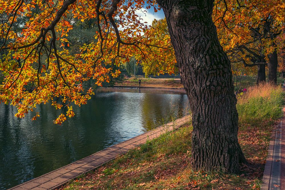 Photograph by Алексеев Сергей