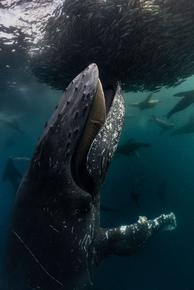 Photograph by camilo diaz