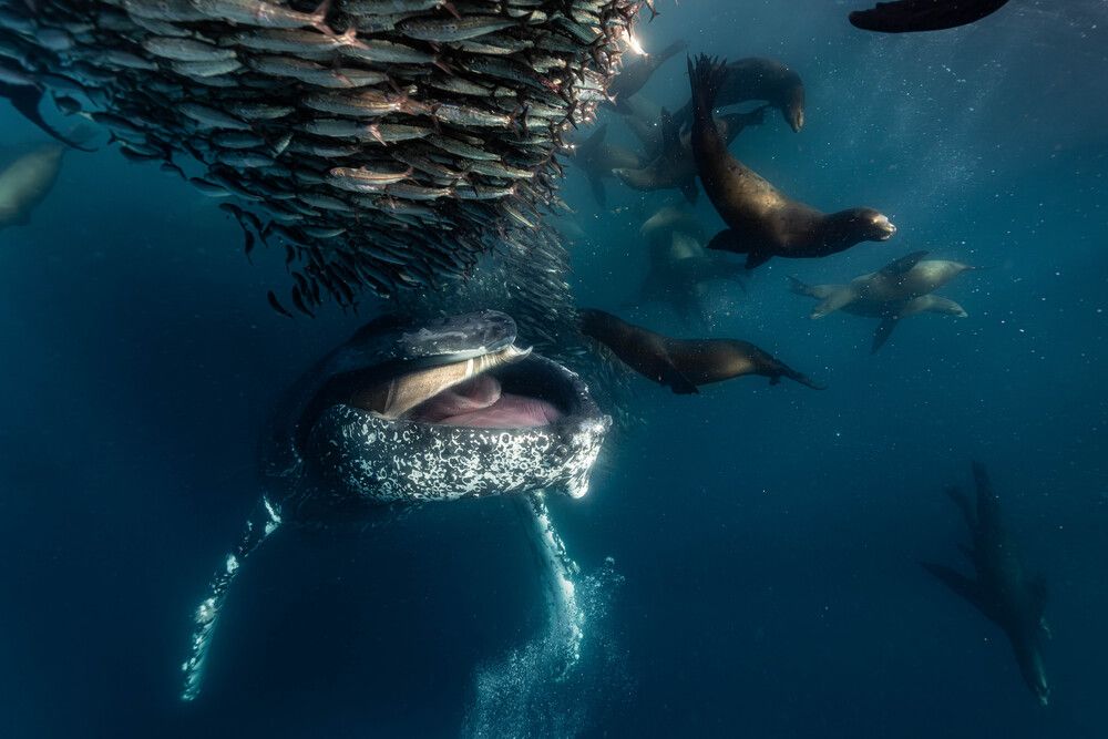 Photograph by camilo diaz