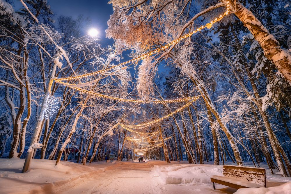 Photograph by Олег Толстов