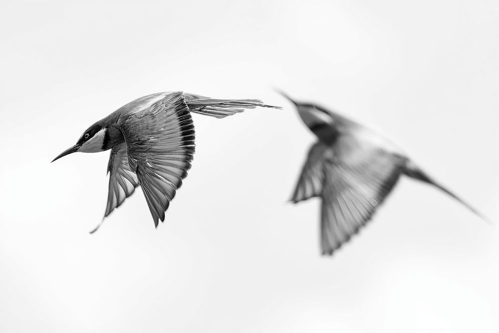 Photograph by Александр Перегудов