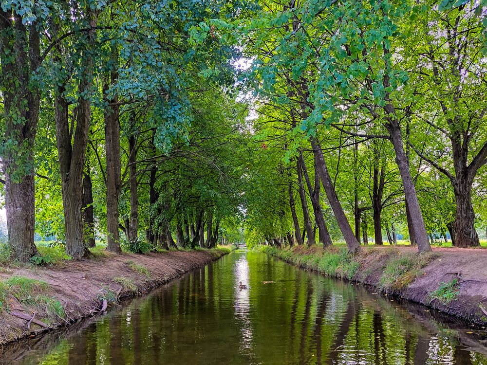 Photograph by Виктор Сёмушкин