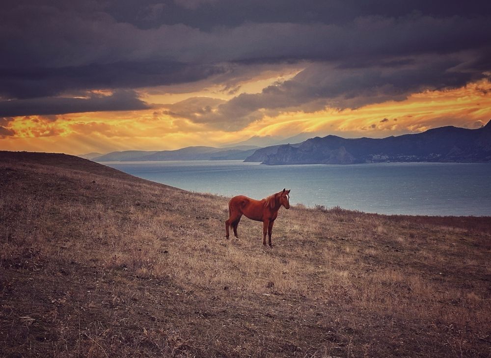 Photograph by Алексей Поляков