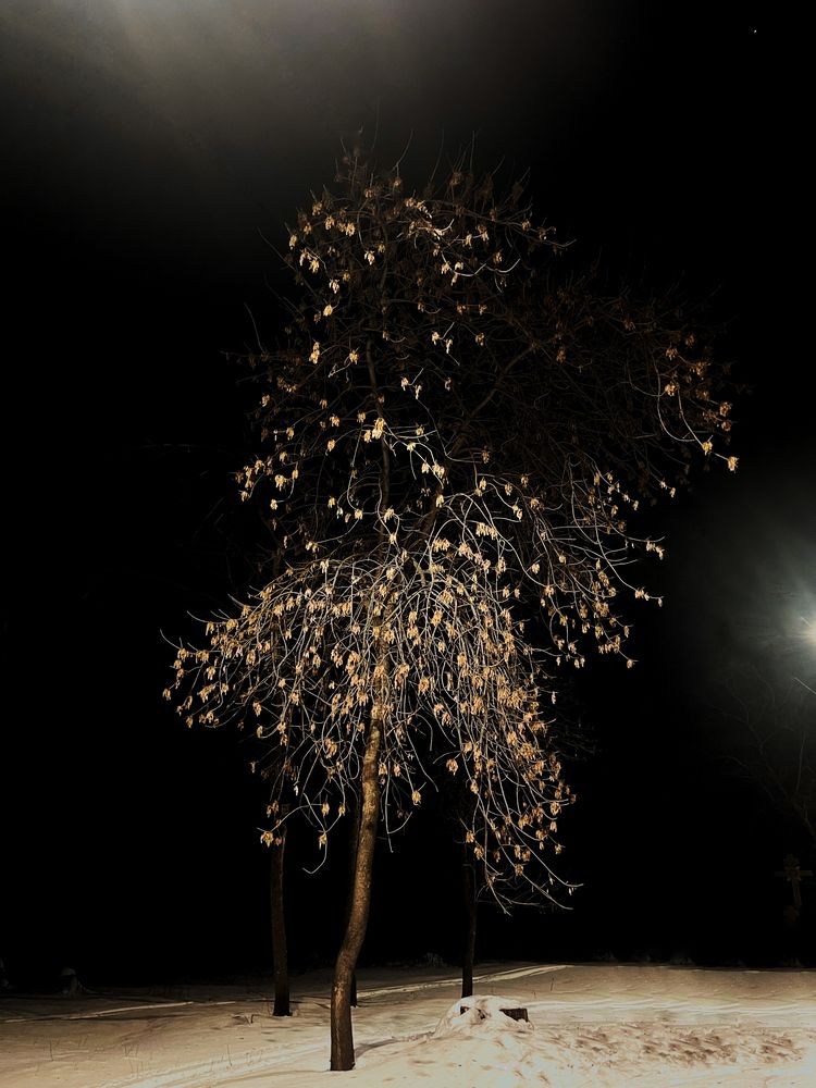 Photograph by Динара