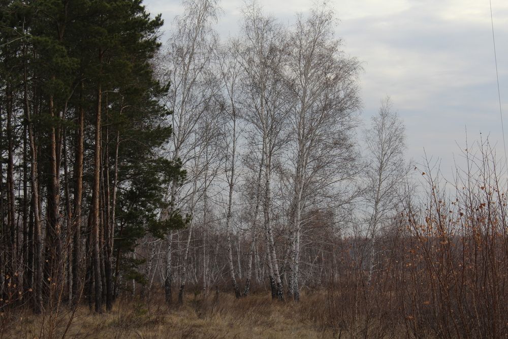 Фотография автора Юлия