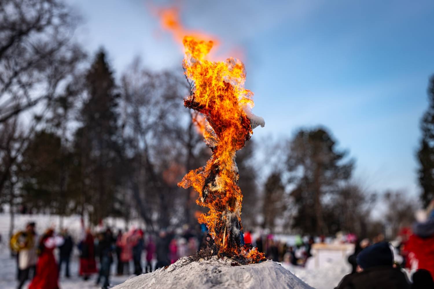 Фотография #13061540