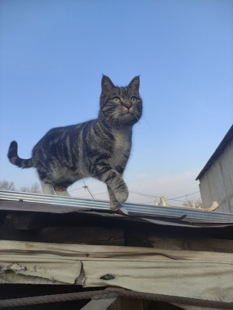 Photograph by Олеся