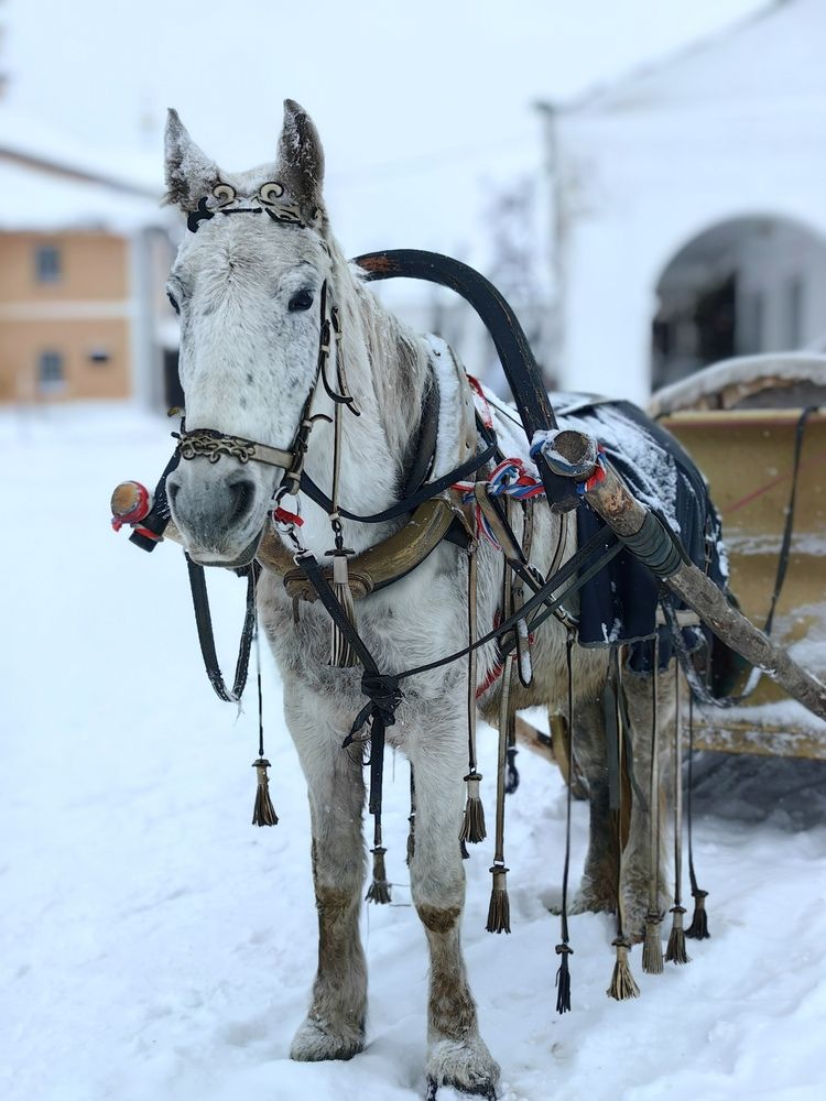 Photograph by OLGA MIKHNEVICH